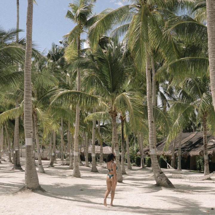 Photo of Others in Dao