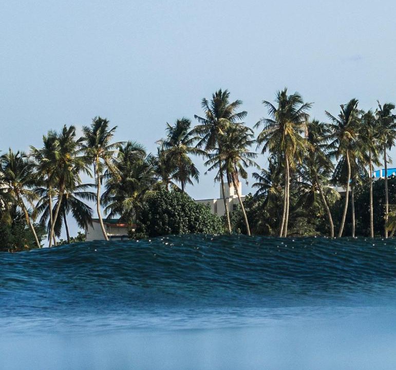 Photo of Others in Thulusdhoo Island