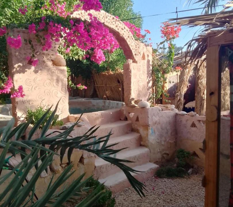Photo of Others in Siwa