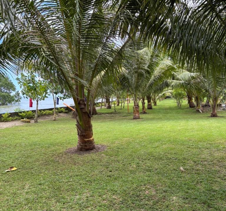 Photo of Others in Bataraza