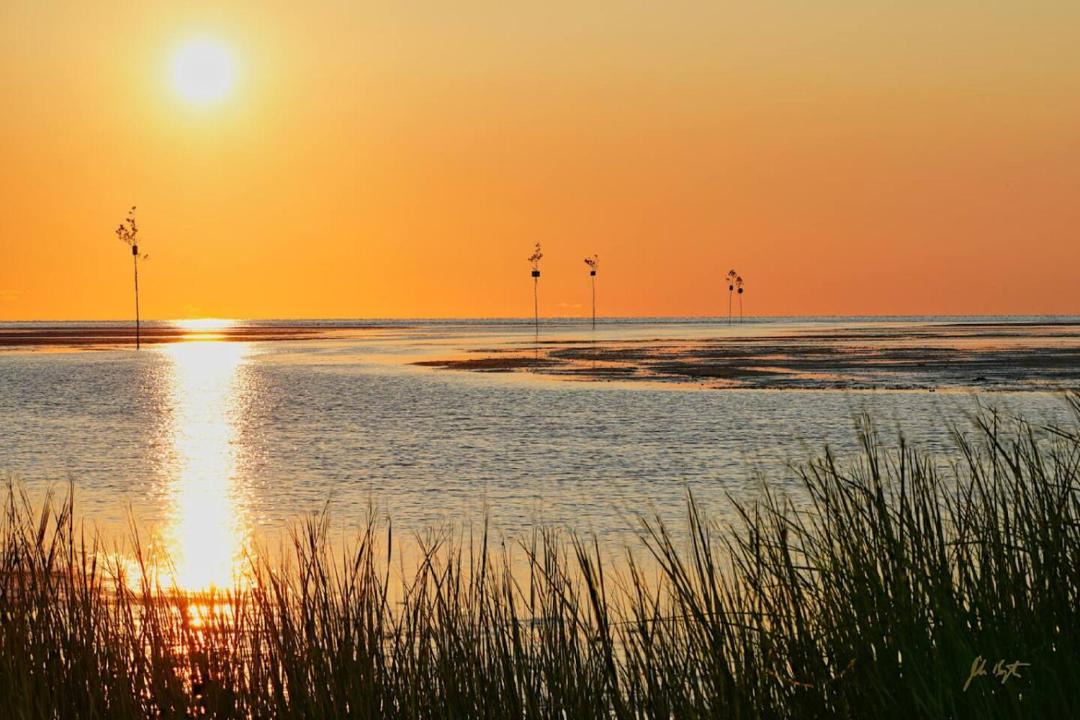 Photo of Others in Eastham