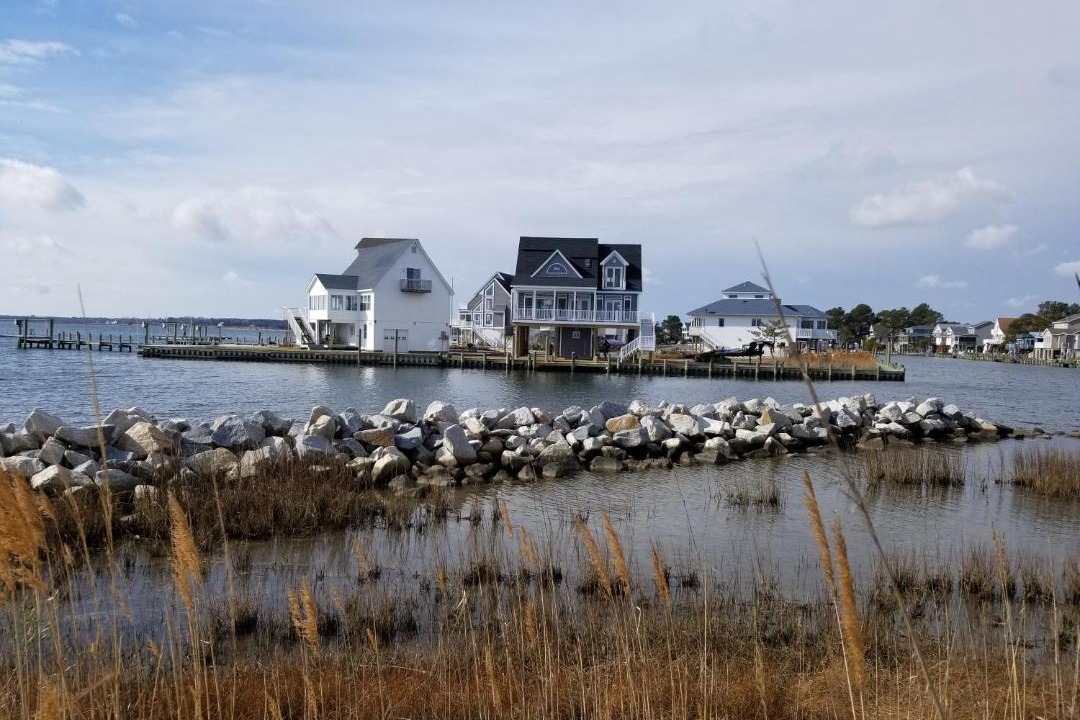 Photo of Others in Captain's Cove