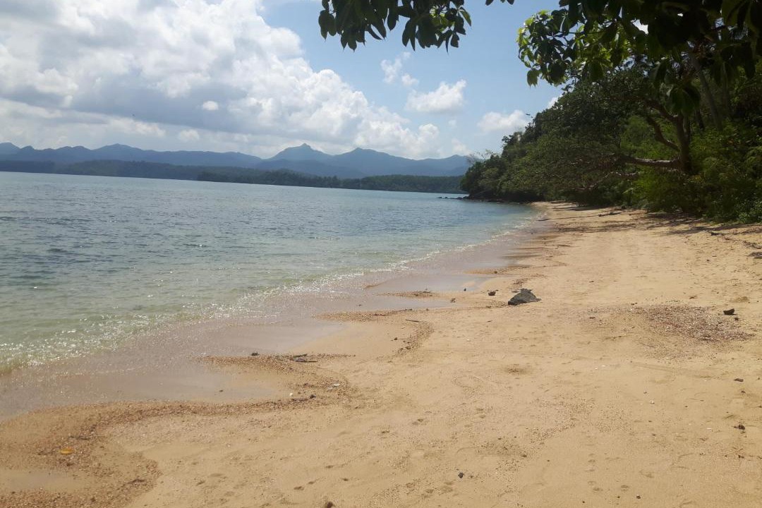 Photo of Others in El Nido