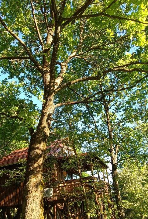 Photo of Outdoor in Orfalu