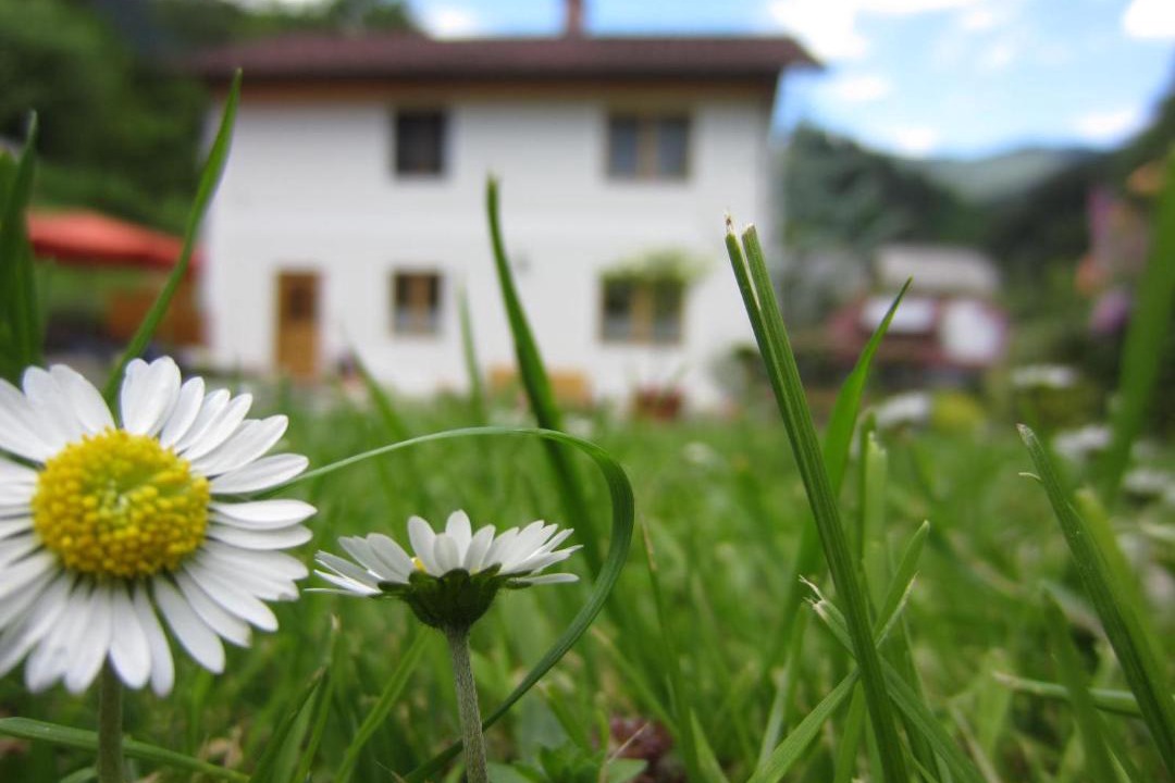 Photo of Others in Breitenau am Hochlantsch