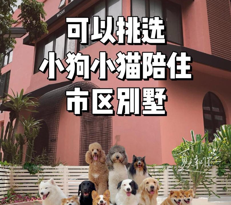 Photo of Others in Nanshan