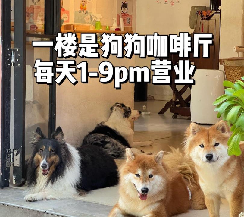 Photo of Others in Nanshan