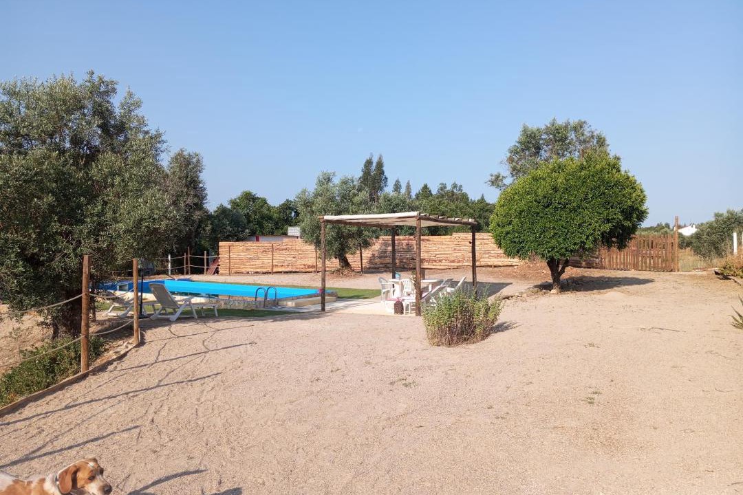 Photo of Others in Abrantes