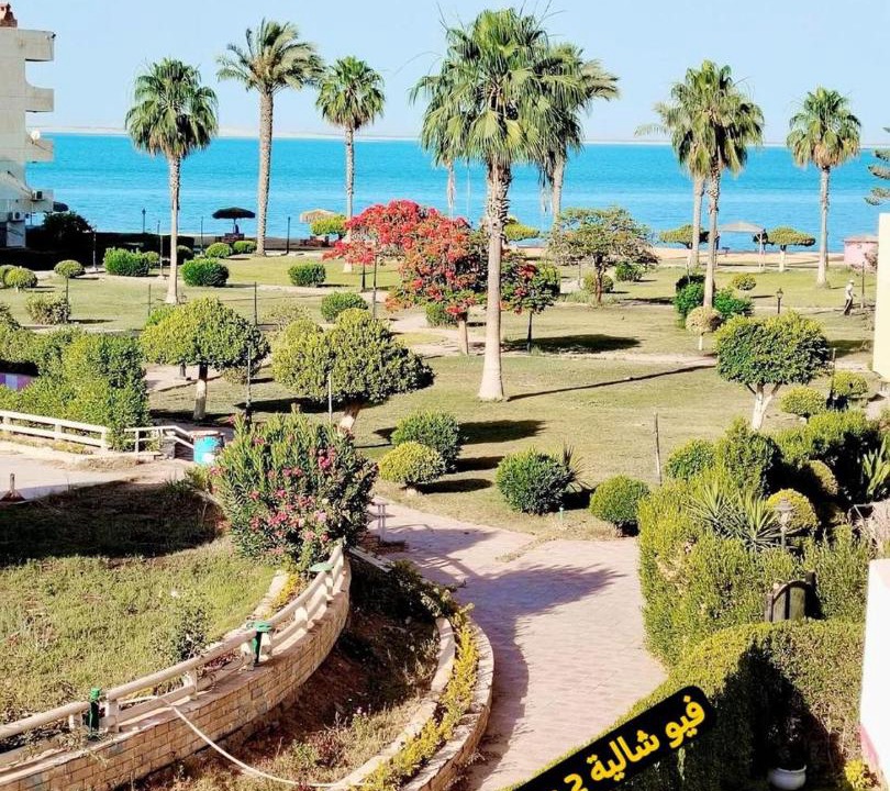 Photo of Others in Cairo Governorate