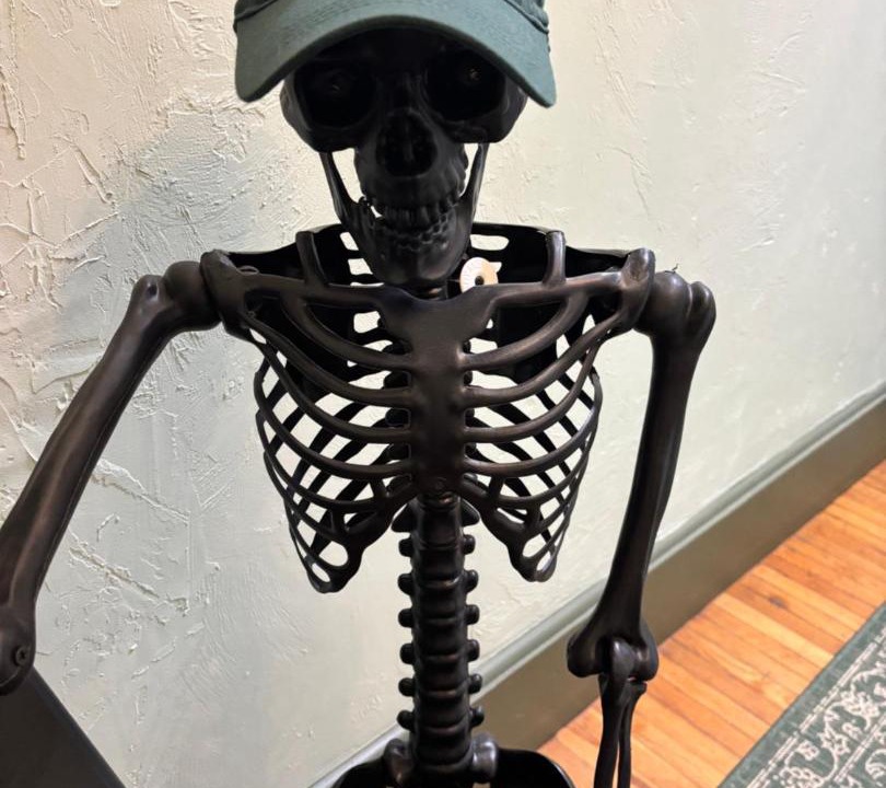 Photo of Human In Picture in Salem