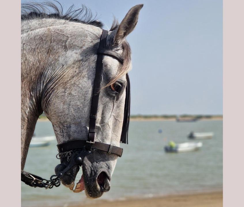 Photo of Human In Picture in Sanlucar de Barrameda