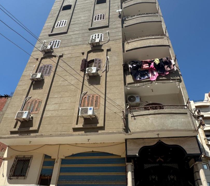 Photo of Others in Mansoura