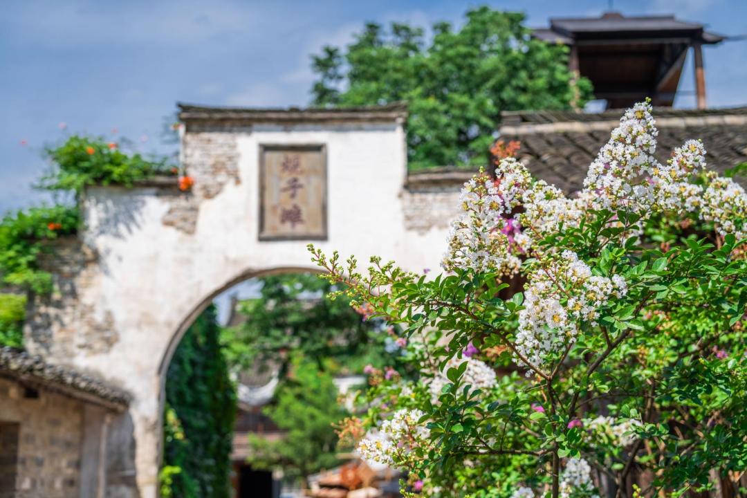 Photo of Others in Tongxiang