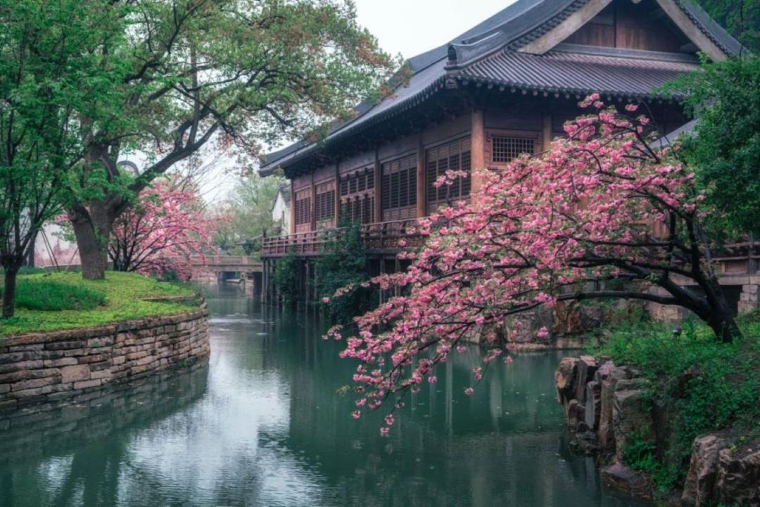 Photo of Others in Tongxiang