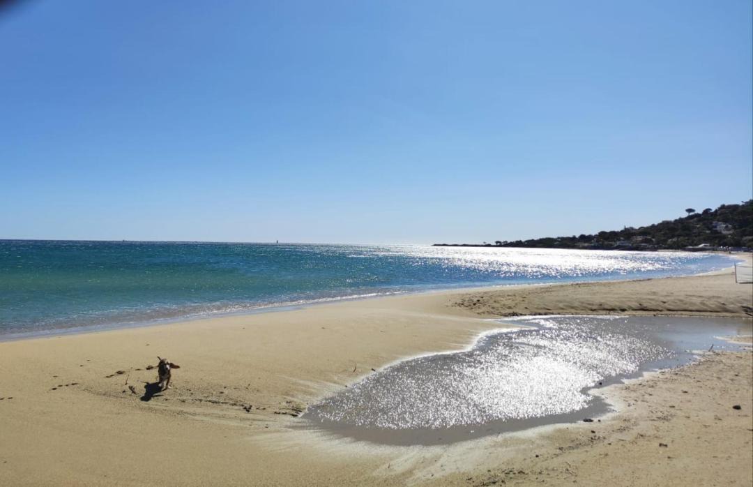 Photo of Others in Plage de la Garonnette
