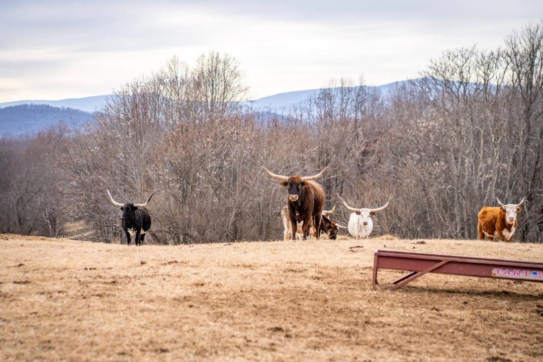 Photo of Others in Haywood
