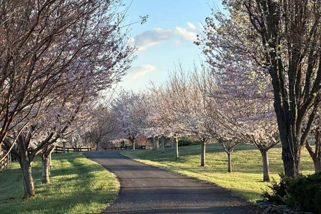 Photo of Outdoor in Haywood