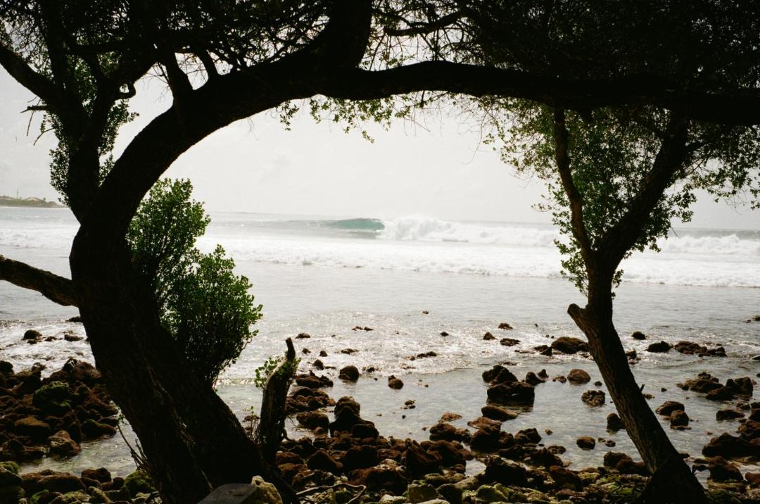 Photo of Others in Thulusdhoo Island