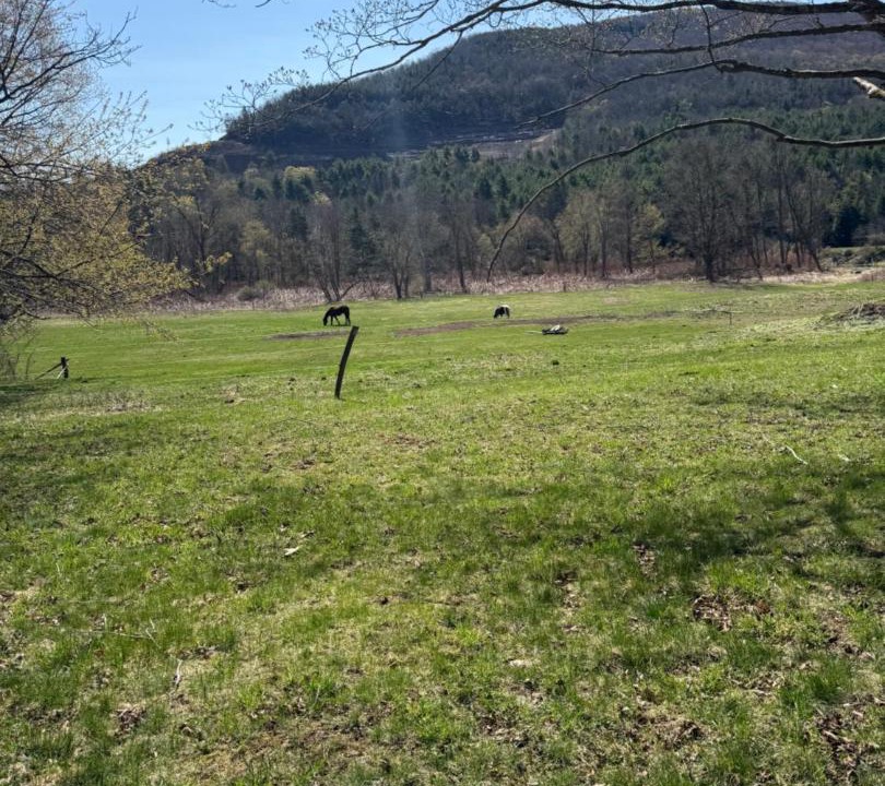 Photo of Others in Windham
