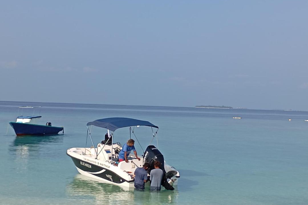 Photo of Others in Vaavu Atoll