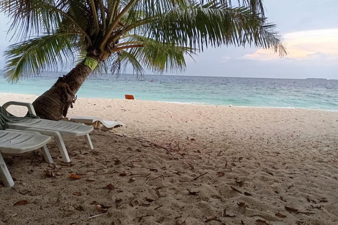 Photo of Others in Vaavu Atoll