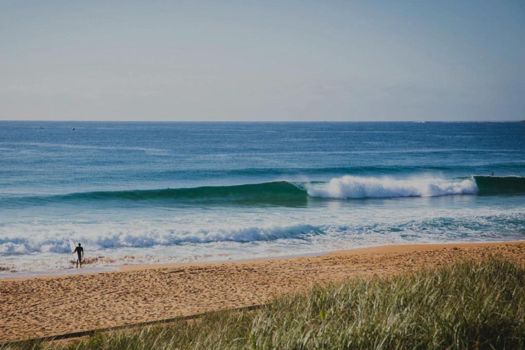 Photo of Others in North Narrabeen