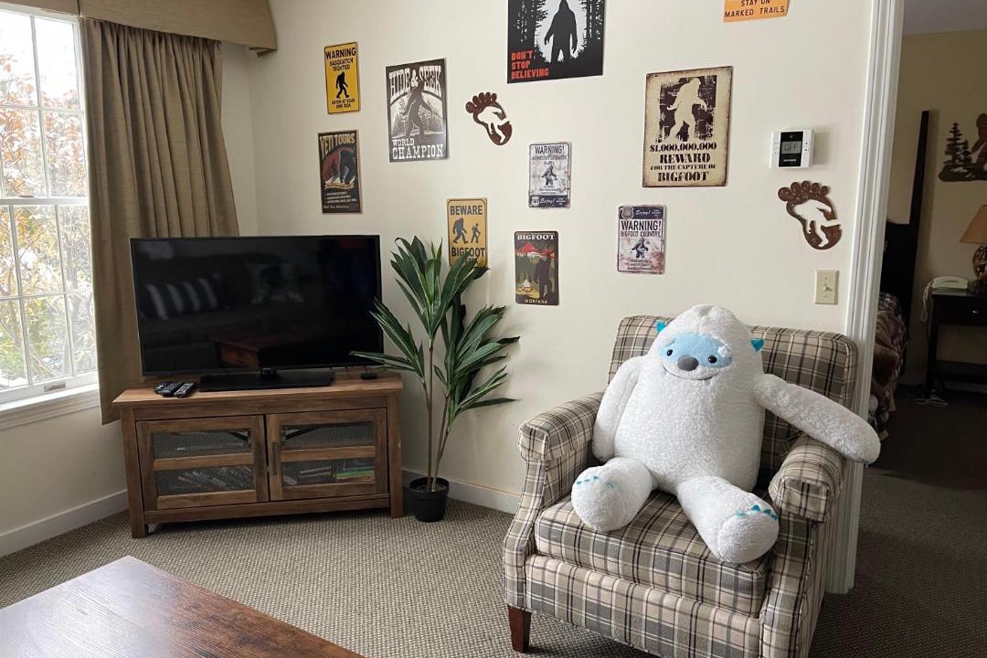 Photo of Livingroom in Hancock