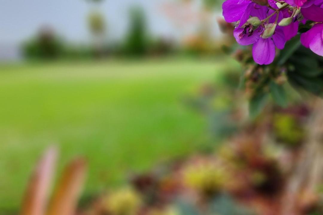 Photo of Outdoor in Woolgoolga