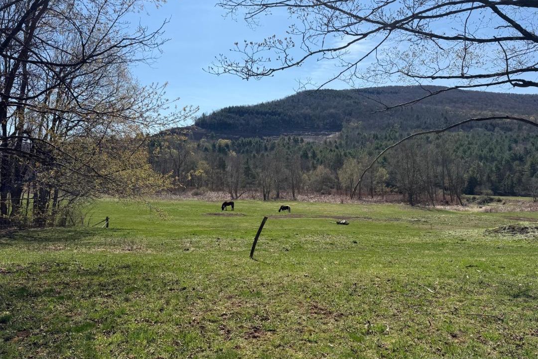 Photo of Others in Windham