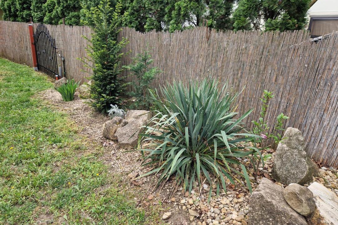 Photo of Outdoor in Gyoparosfuerdo