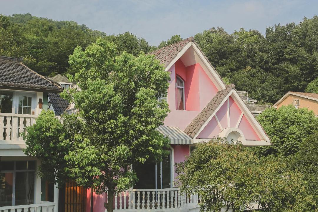 Photo of Others in Xihu