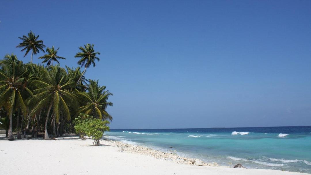 Photo of Others in Dharavandhoo