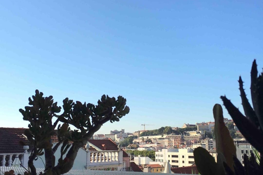 Photo of Others in Lisbon Old Town