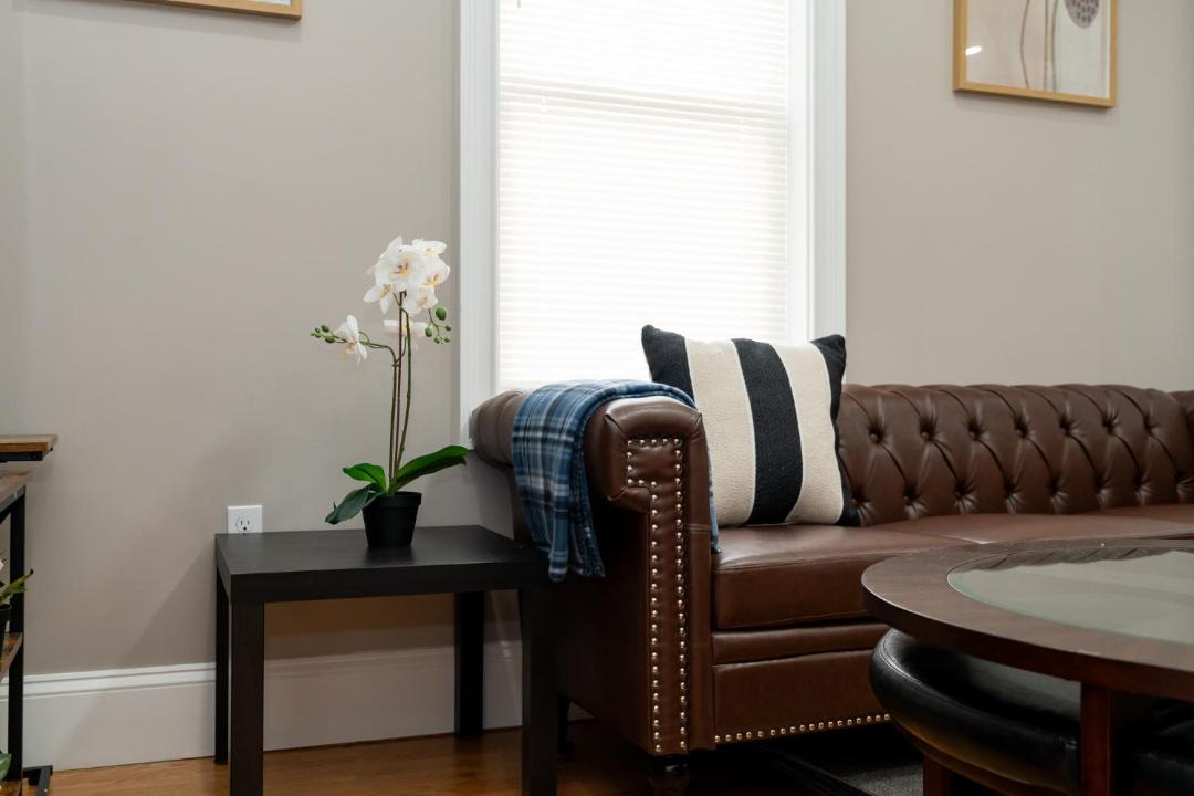 Photo of Livingroom in Codman Square