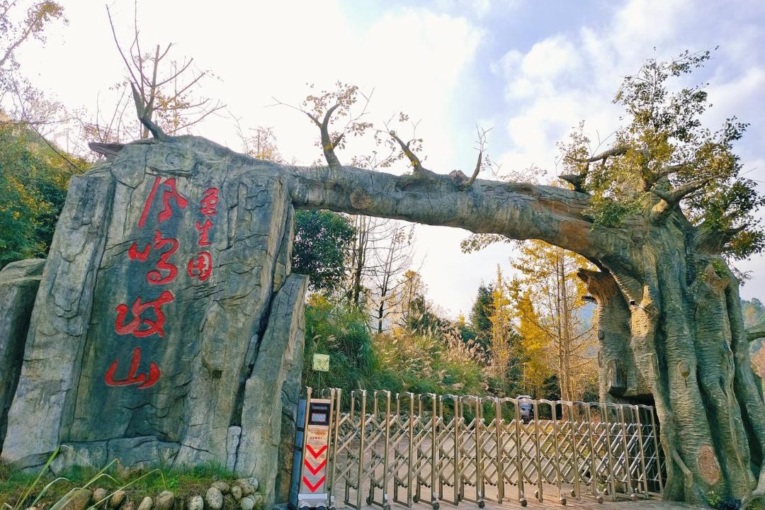 Photo of Others in Dujiangyan