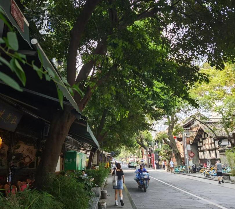 Photo of Others in Chengdu City Centre