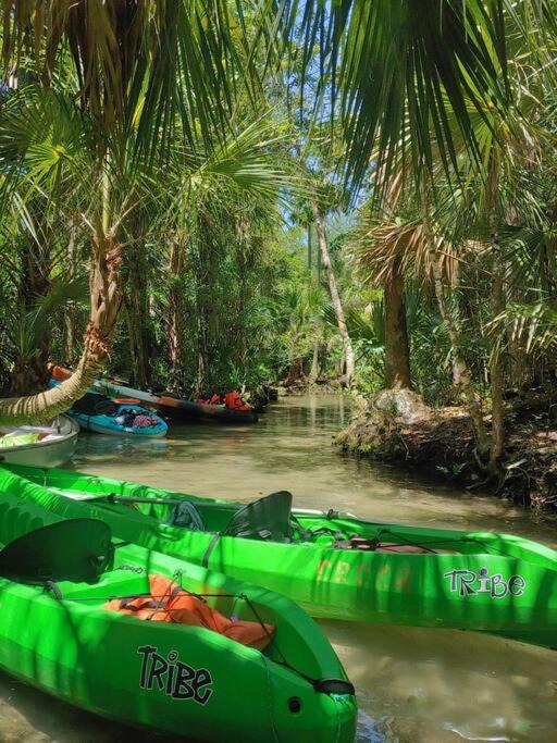 Photo of Others in Chassahowitzka