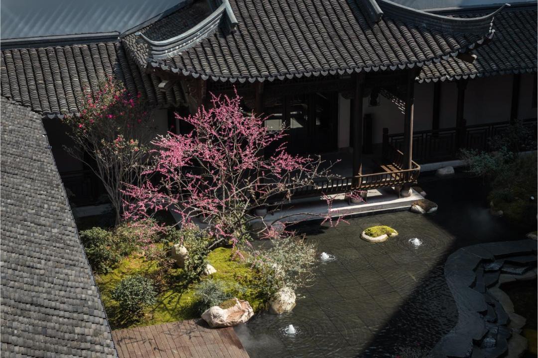 Photo of Others in Tongxiang