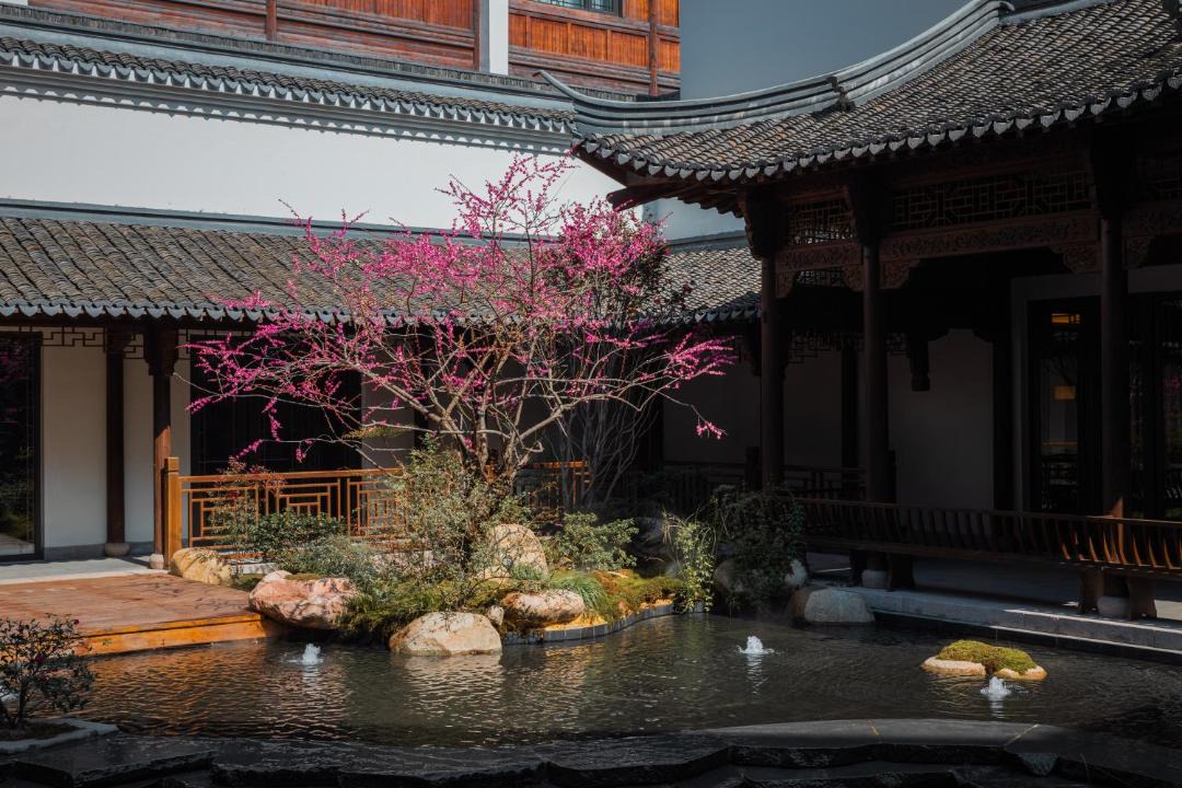 Photo of Others in Tongxiang