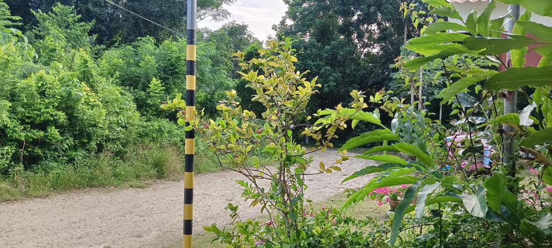 Photo of Outdoor in Siquijor