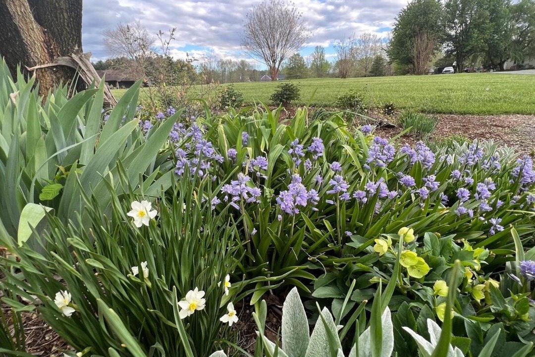 Photo of Outdoor in Afton