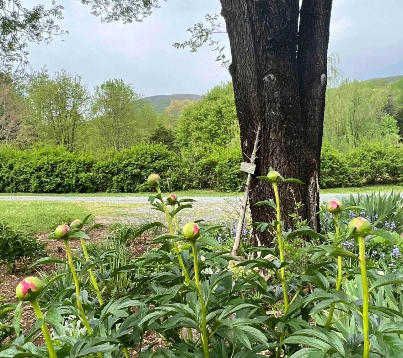 Photo of Outdoor in Afton