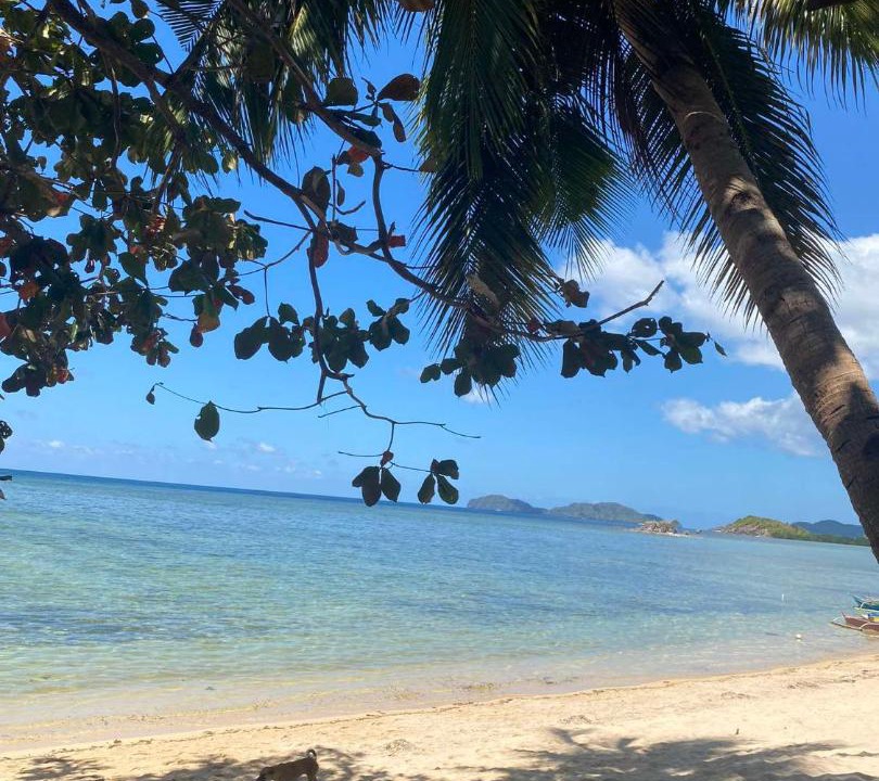 Photo of Others in Busuanga