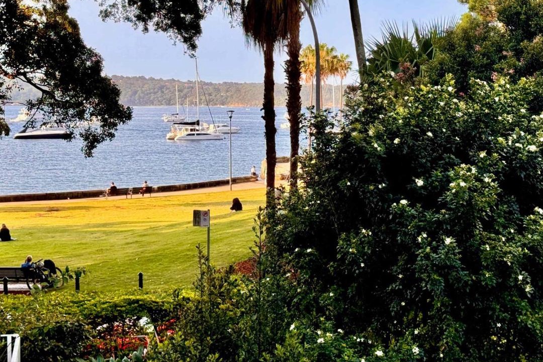Photo of Others in Elizabeth Bay