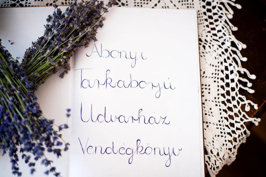 Photo of Others in Abony