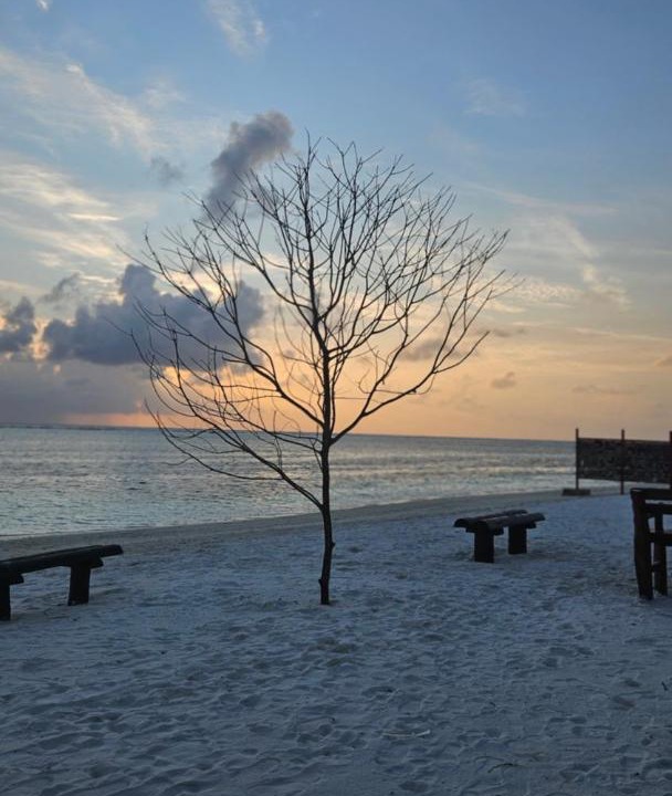 Photo of Others in Kaashidhoo