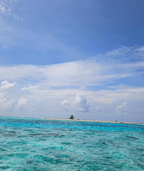 Photo of Others in Kaashidhoo