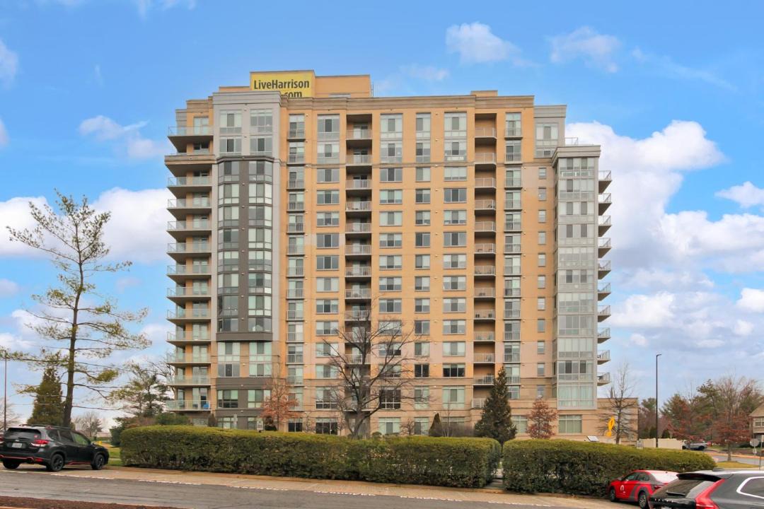 Photo of Others in Reston