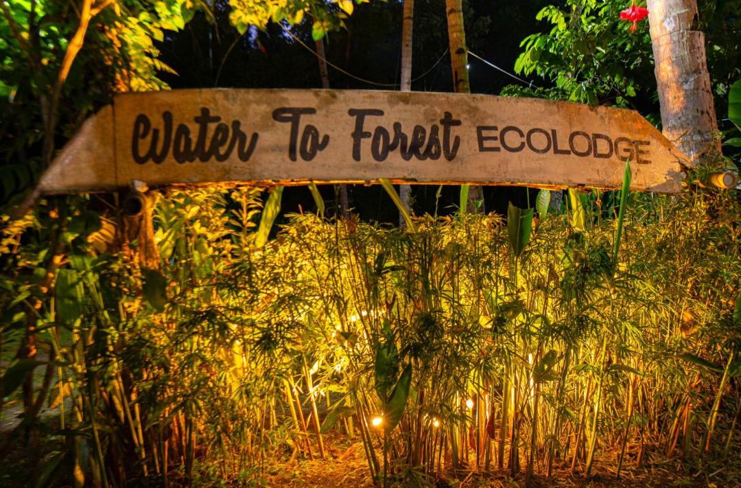 Photo of Others in Loboc