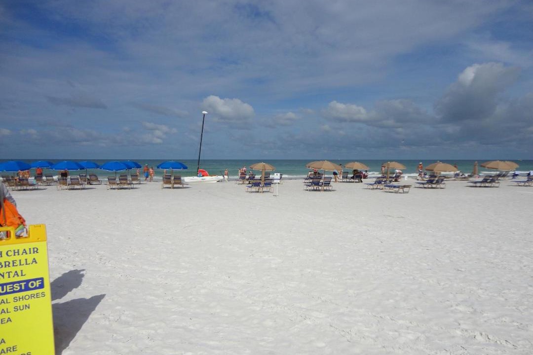 Photo of Others in Siesta Key